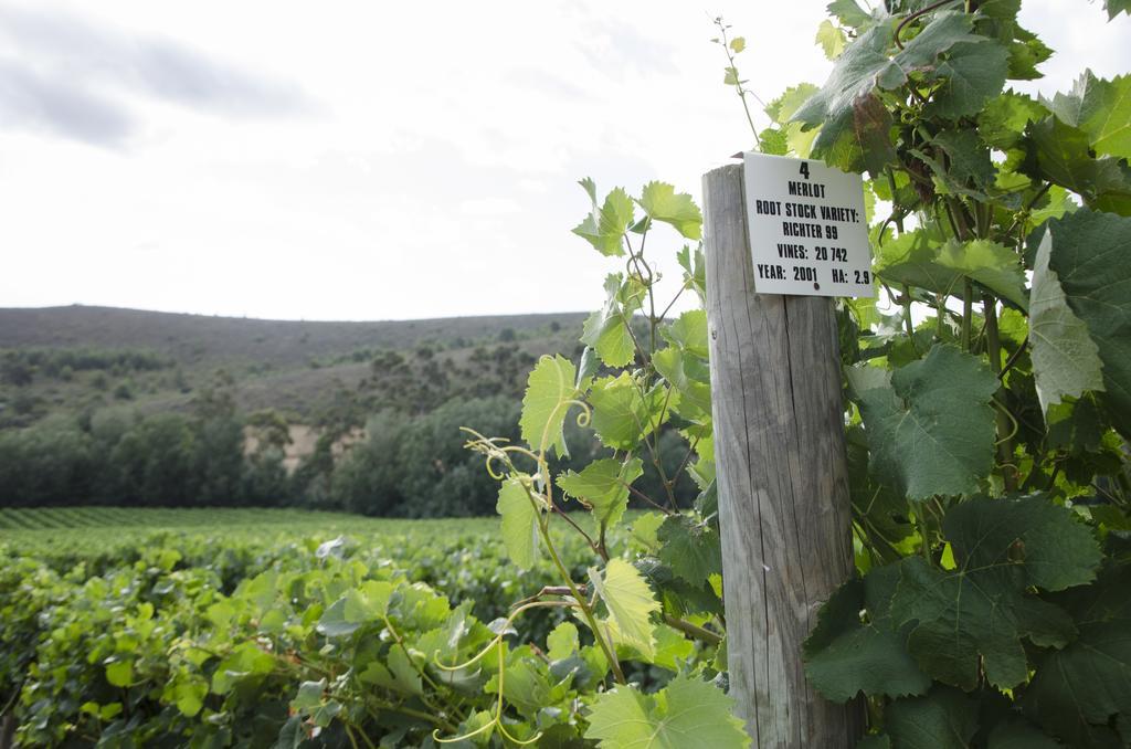Bushmanspad Estate Boesmanspad エクステリア 写真